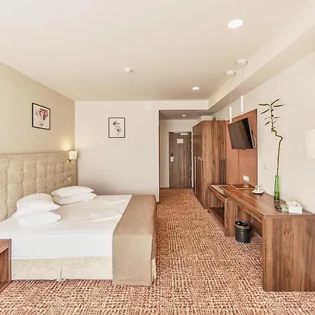 Grand Belvedere 브라쇼브